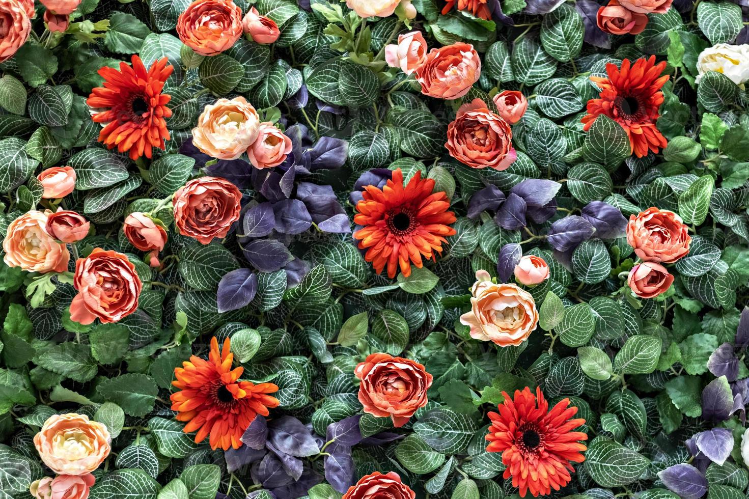 fond de chrysanthèmes rouges et roses artificiels de printemps et de roses pivoines dans le jardin. printemps. mur fleuri. photo
