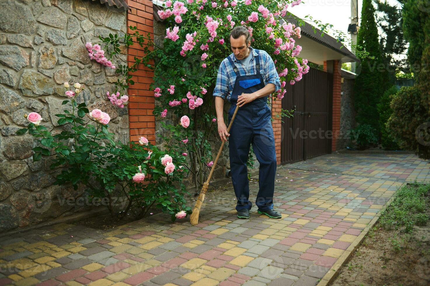 plein longueur portrait de une Masculin jardinier dans bleu jardinage uniforme, balayage le arrière-cour avec une balai photo