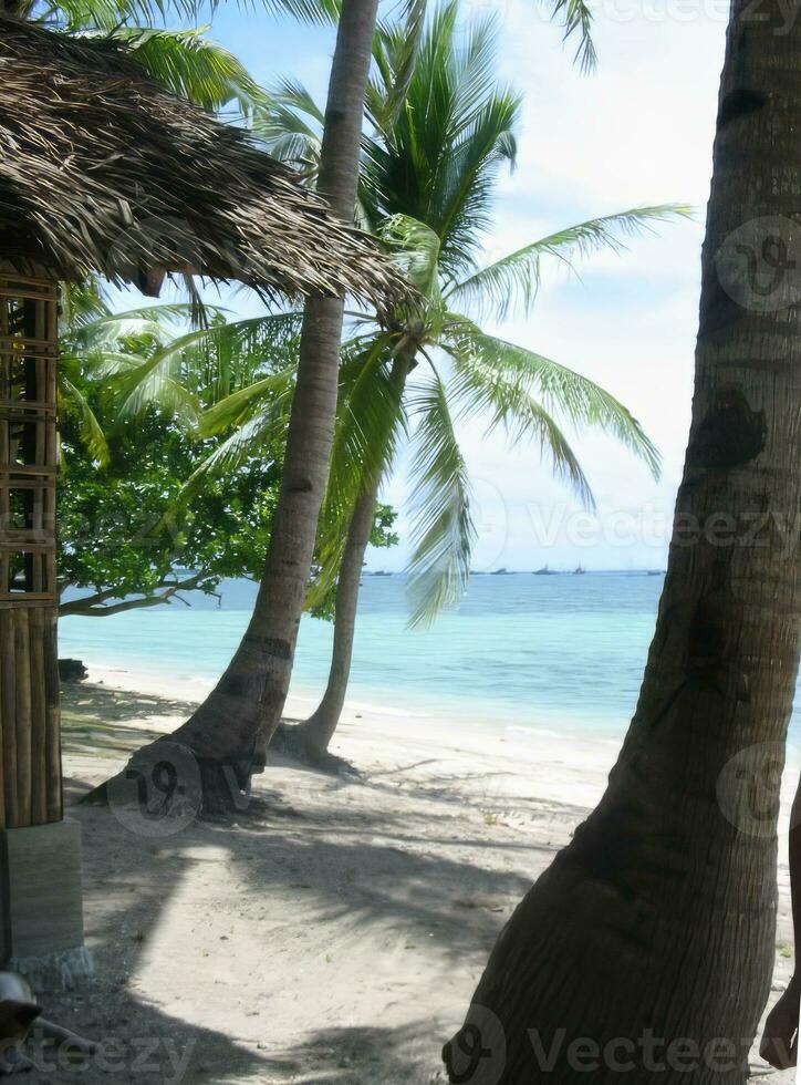 blanc le sable plage dans Père Noël fe bantayan île cebu philippines photo