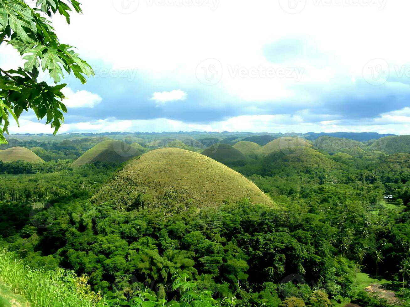 Chocolat collines épars autour bohol philippines photo