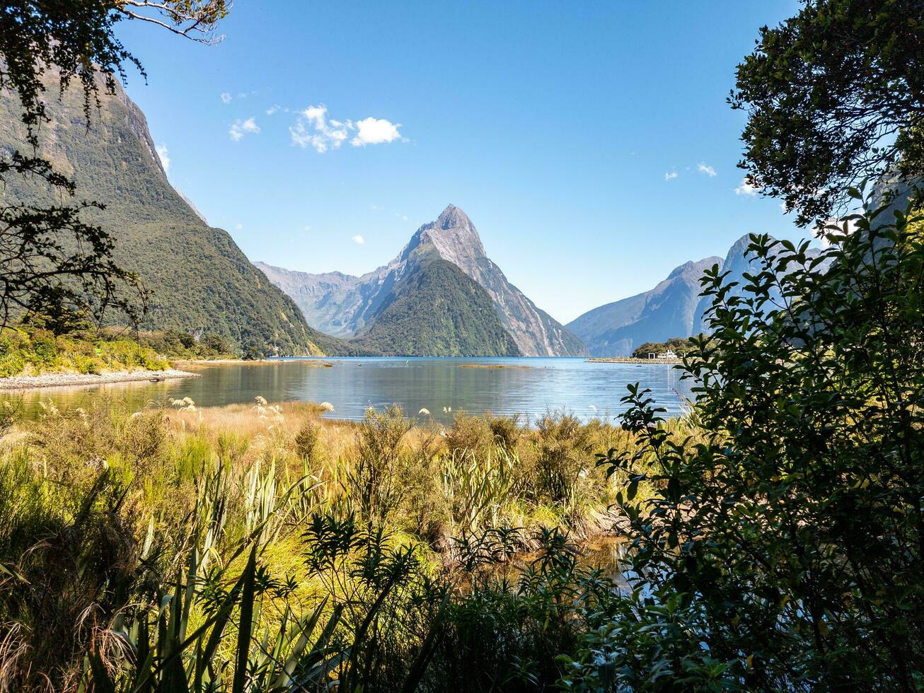 Milford son, terre du sud, Nouveau zélande photo