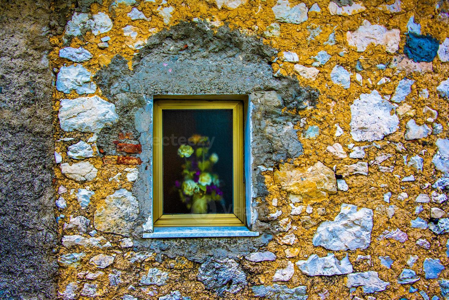 fleurs dans une fenêtre photo