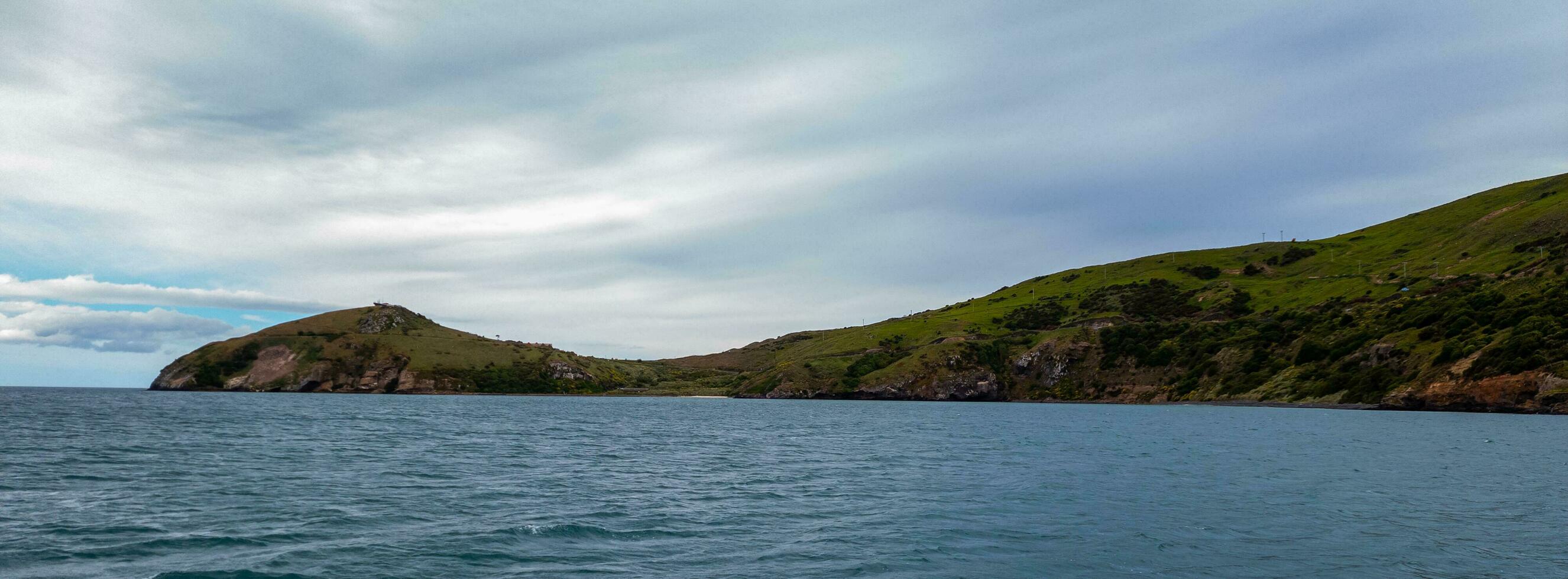 tairoa tête dans Nouveau zélande photo