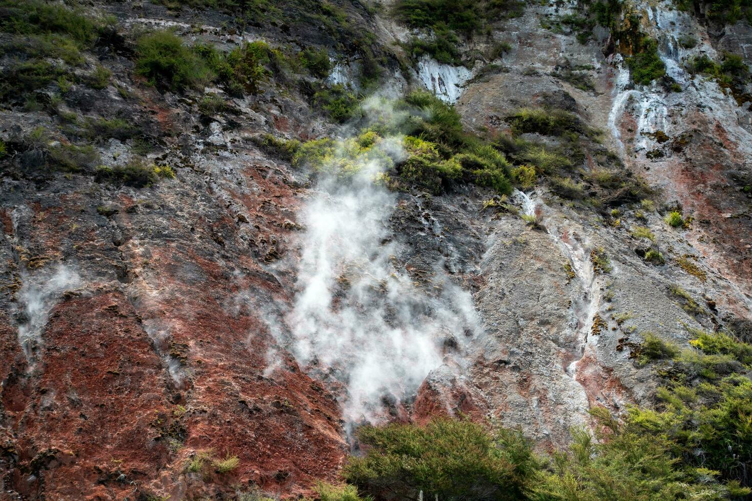 rototua thermiques, Nouveau zélande photo