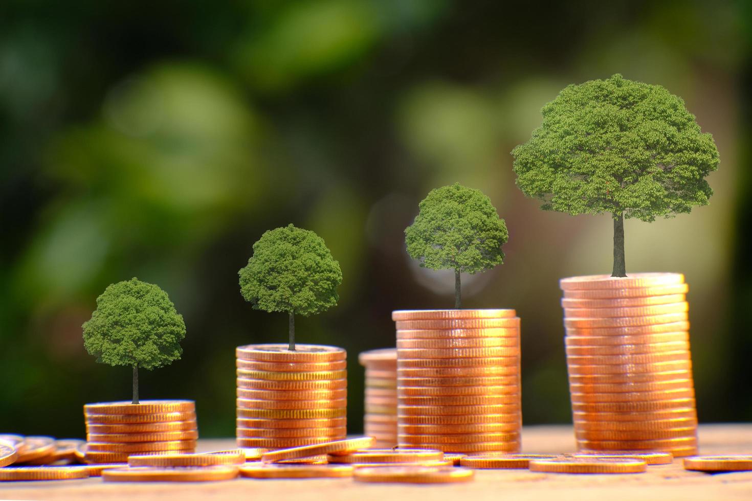 petits arbres sur des piles de pièces photo