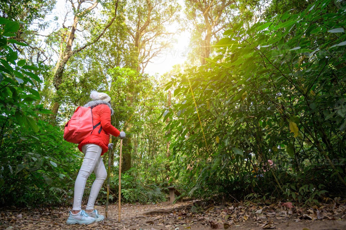 jeunes marchant sur une colline à doi inthanon, chiang mai, thaïlande photo