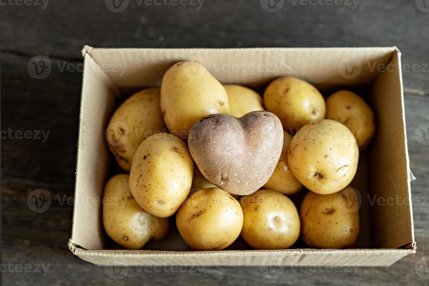 pomme de terre rouge en forme de coeur dans une boîte en carton parmi les pommes de terre blanches. photo