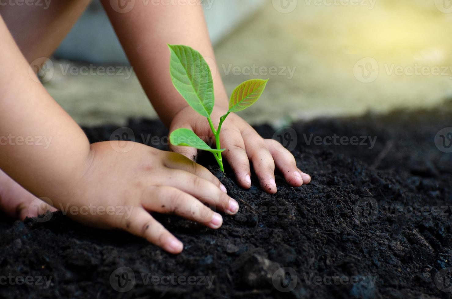 main de bébé de jeune arbre sur le sol sombre, le concept a implanté la conscience des enfants dans l'environnement photo