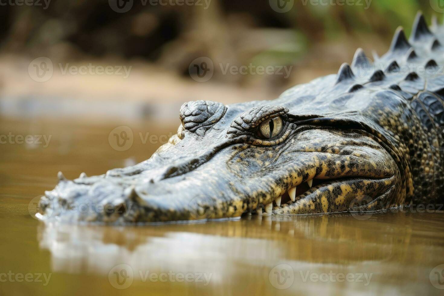proche en haut de une crocodile chasse ses proie établi avec génératif ai technologie. photo