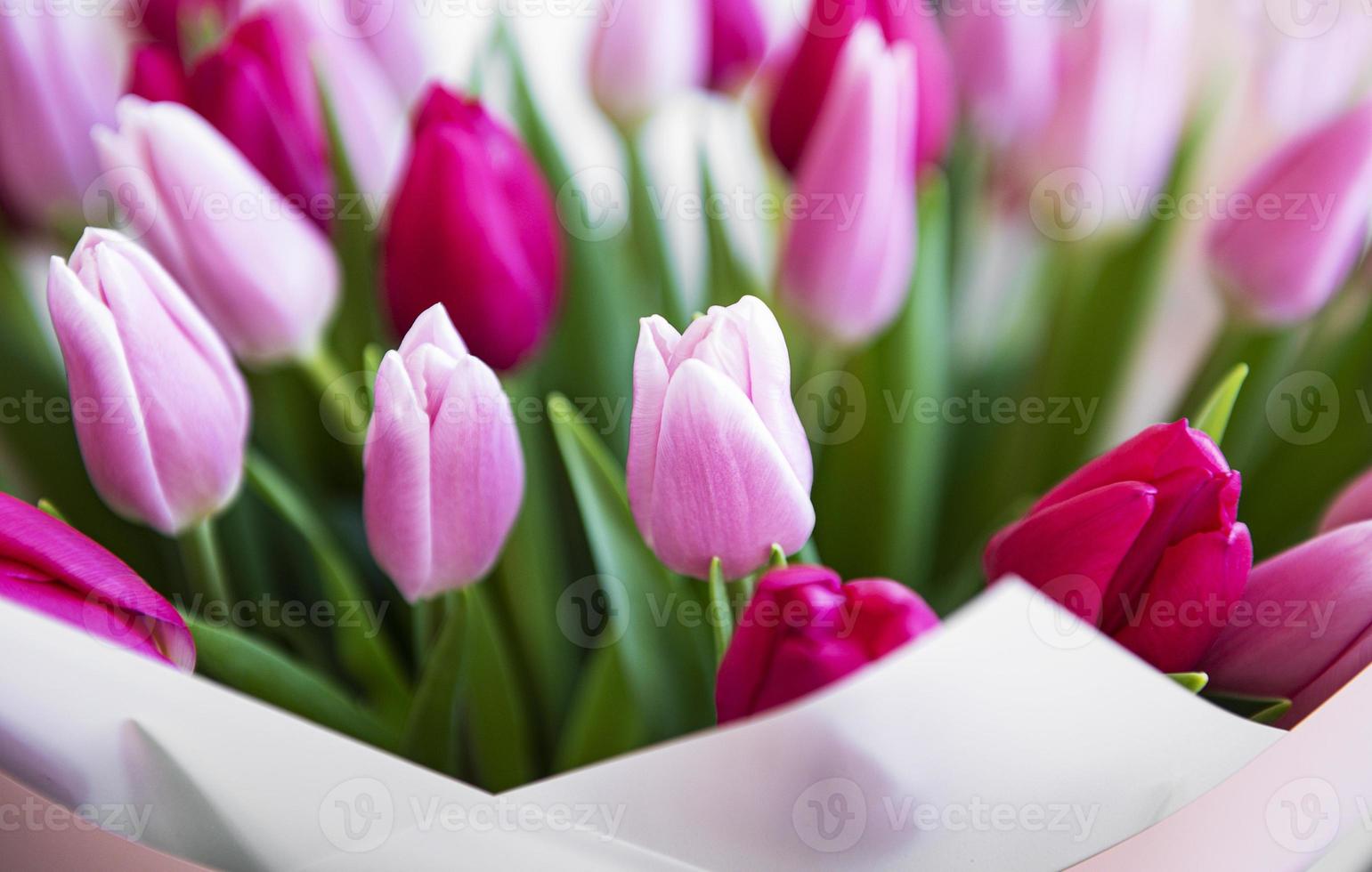 beau bouquet de tulipes photo