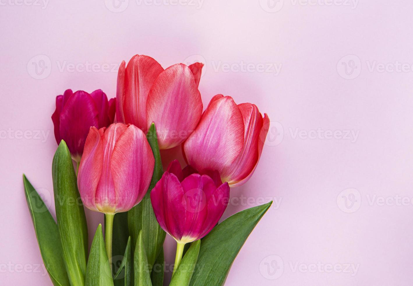 beau bouquet de tulipes photo