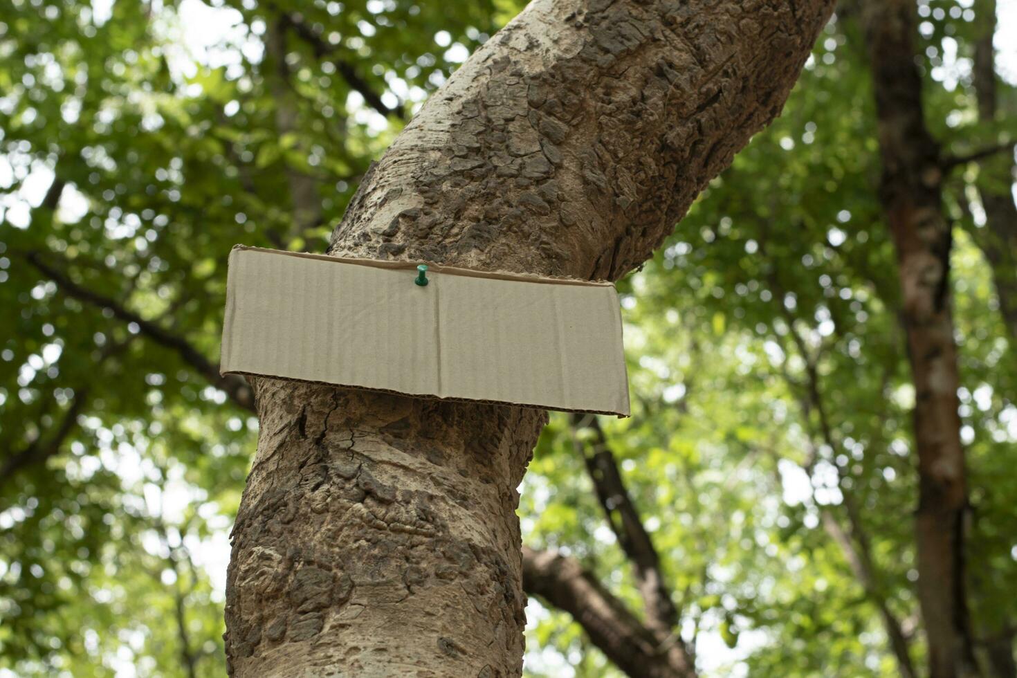 arbre tronc lequel a Vide papier carton collé sur le aboyer, concept pour environnement étude, la nature étude, appel en dehors tout gens à le respect environnement et joindre monde environnement journée campagne. photo