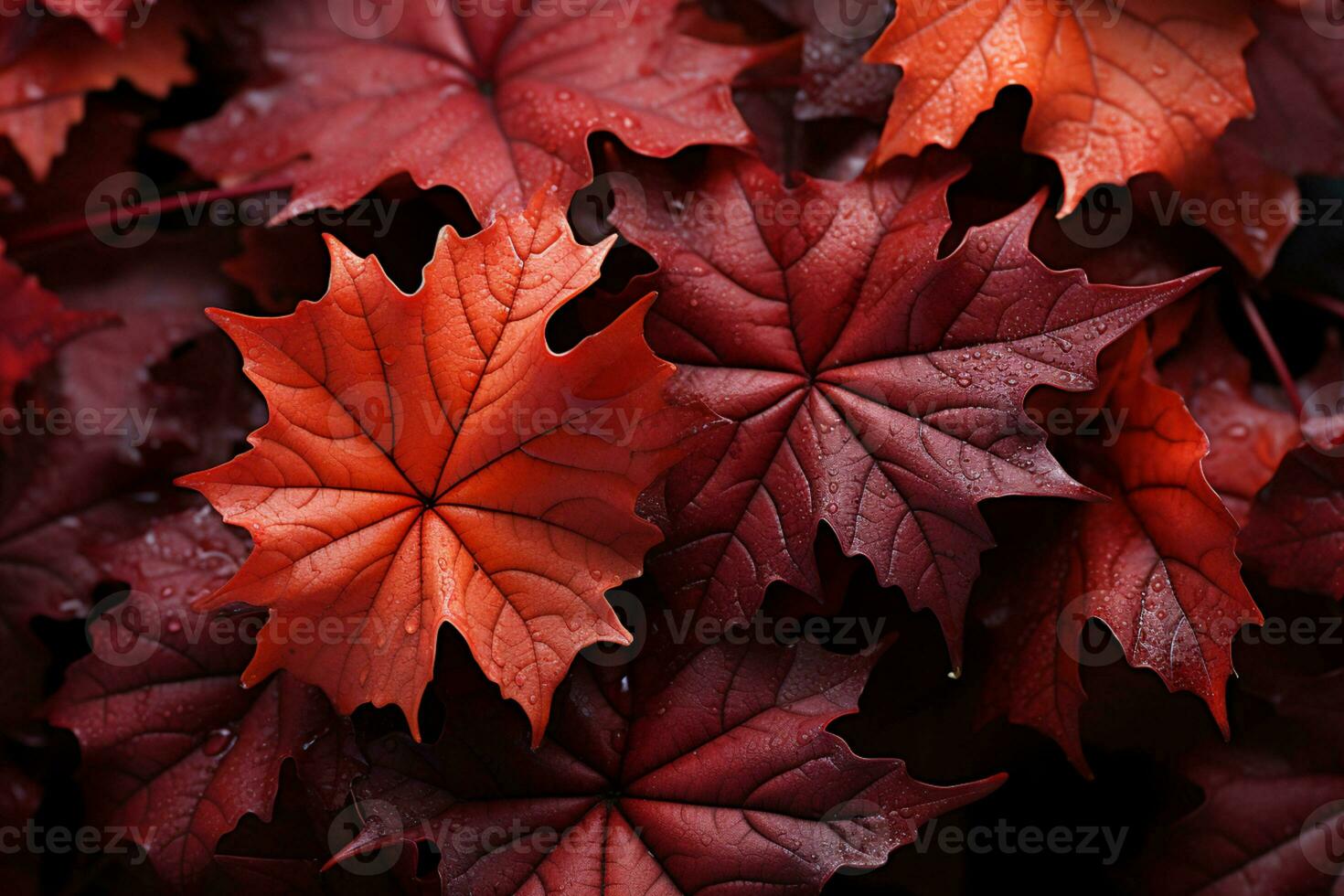 érable feuilles dans vibrant teintes tomber et Danse dans le l'automne toile de fond ai généré photo