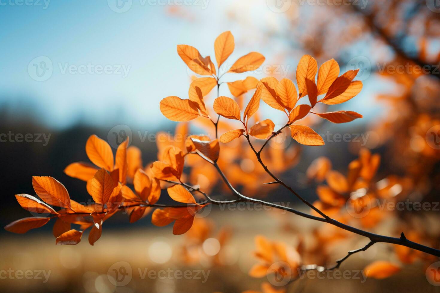 ensoleillé tomber paysage avec radiant feuilles sur branches en dessous de clair ciels ai généré photo