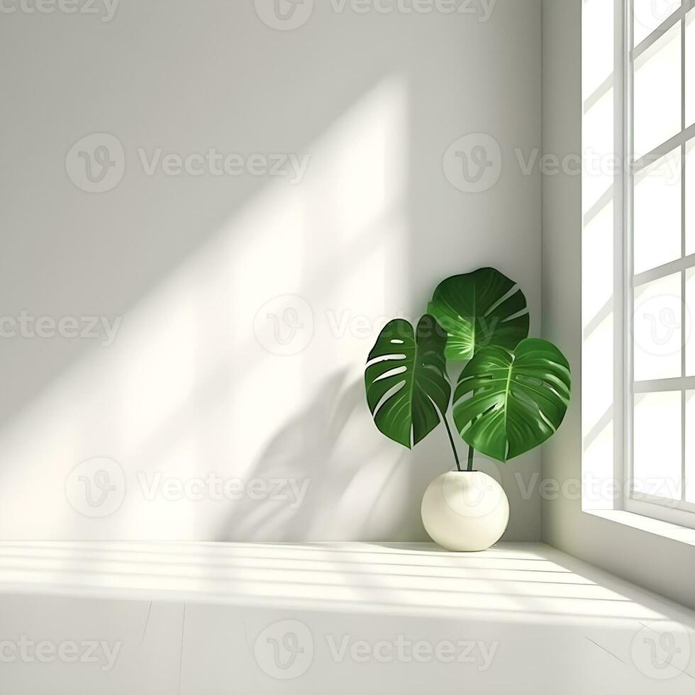 une monstera feuille dans le coin de une blanc pièce avec une fenêtre ombre ai généré photo