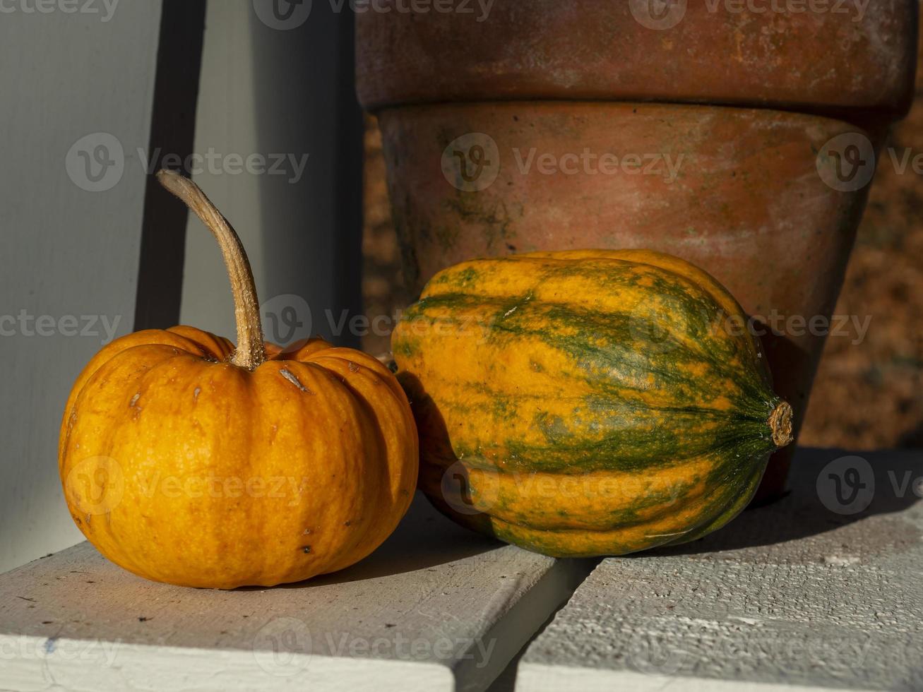 gourdes et un pot en argile sur une étagère dans un hangar de rempotage photo