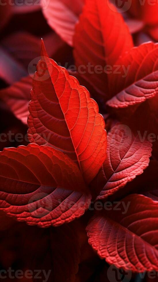 rouge feuille fond d'écran Contexte. ai généré photo