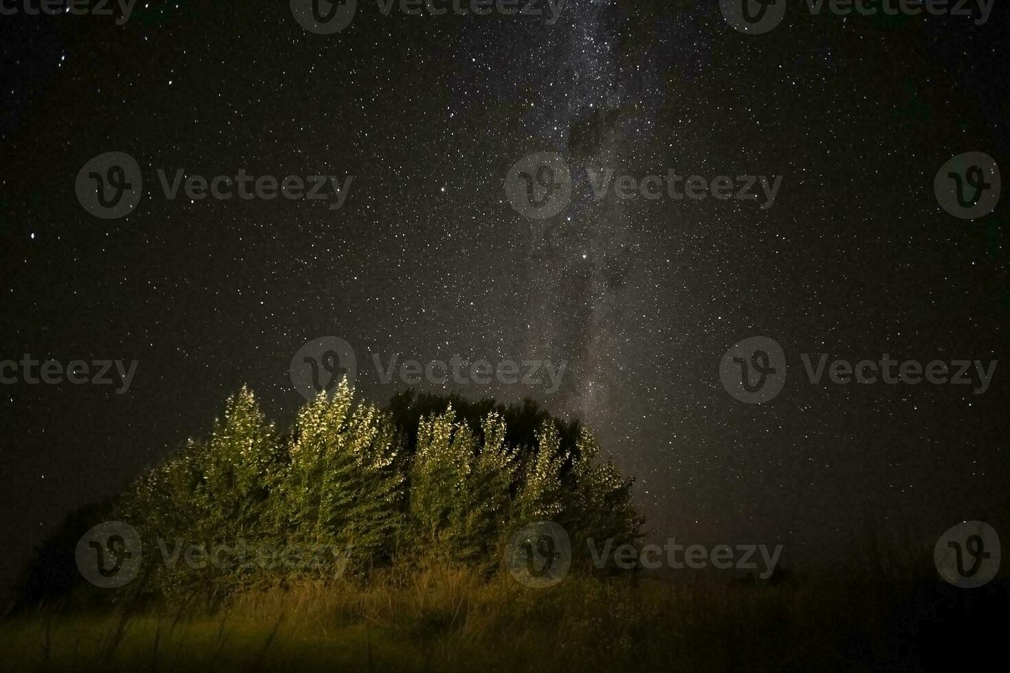 pampa paysage photographié à nuit avec une étoilé ciel, la la pampa province, patagonie , Argentine. photo