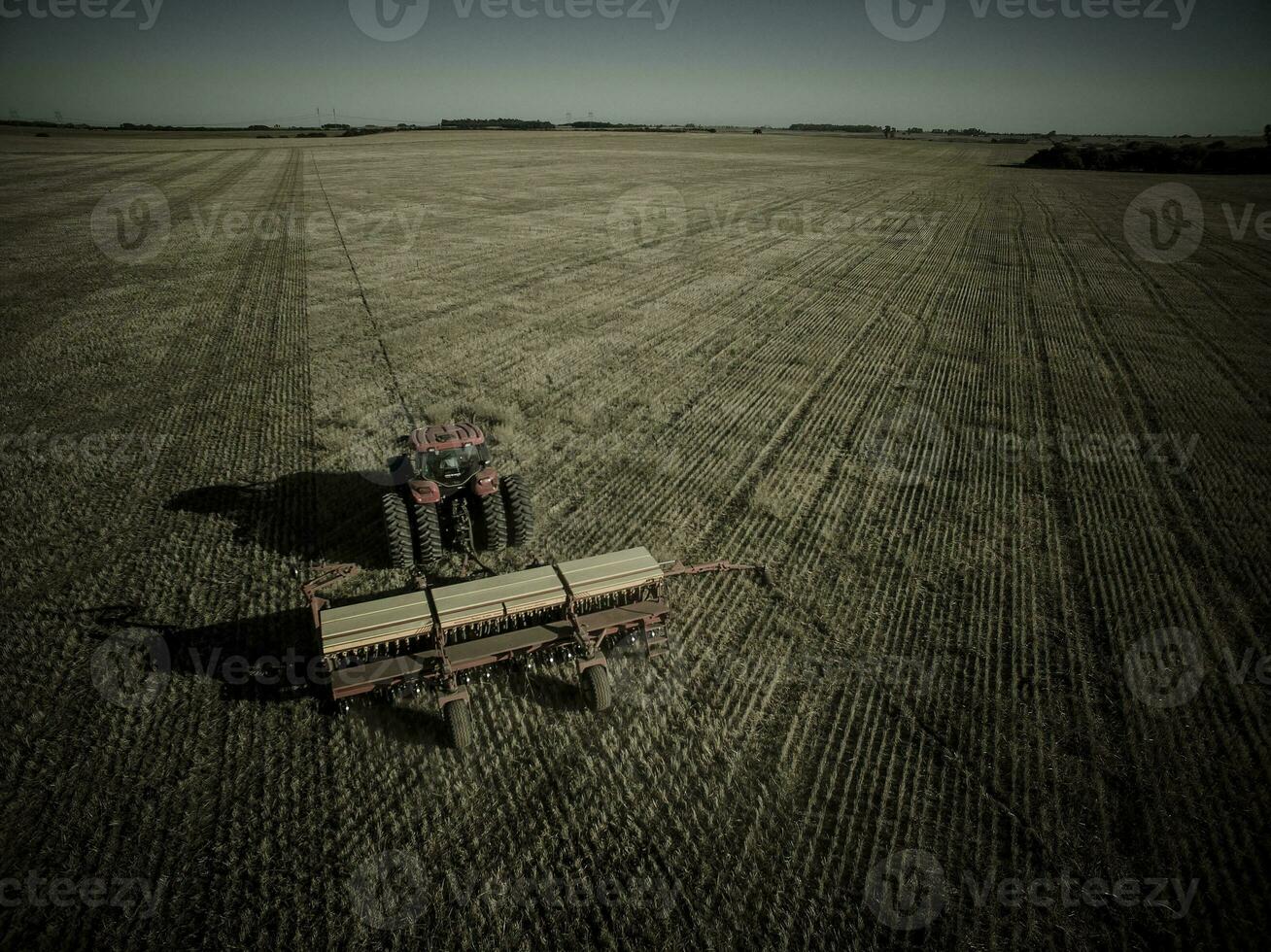 direct ensemencement, agricole machinerie, dans la pampa, patagonie, Argentine photo