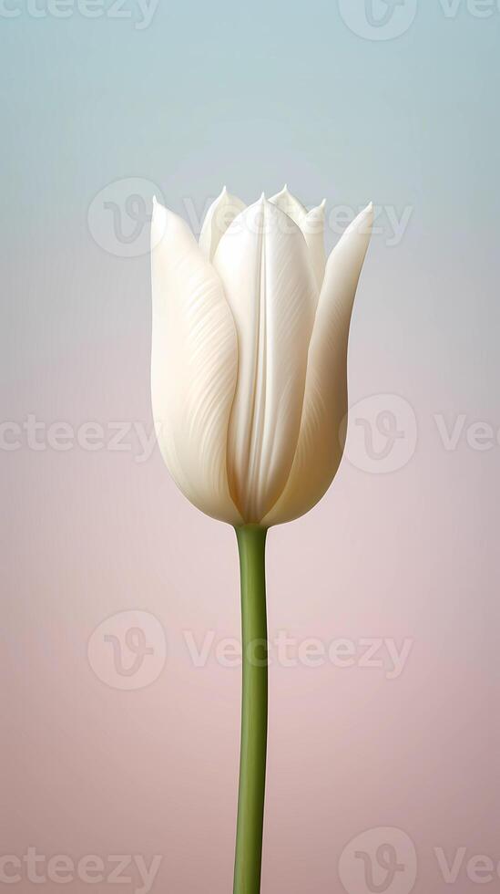 blanc tulipe fleur maco fond d'écran Contexte. ai généré photo