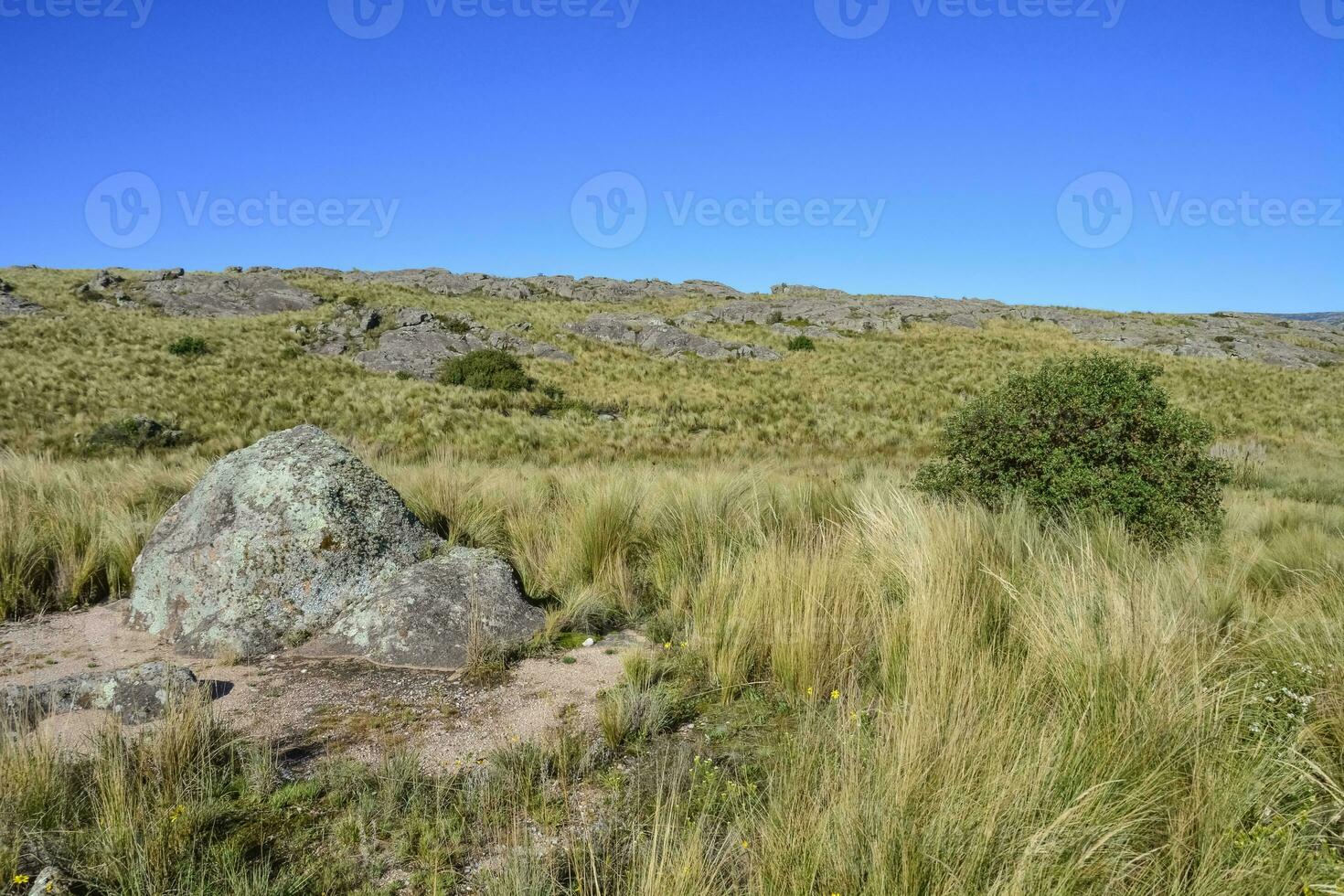 quebrada del condorito nationale parc paysage, cordoue province, Argentine photo