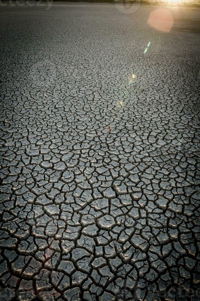 cassé sol dans pampa environnement , patagonie, Argentine. photo