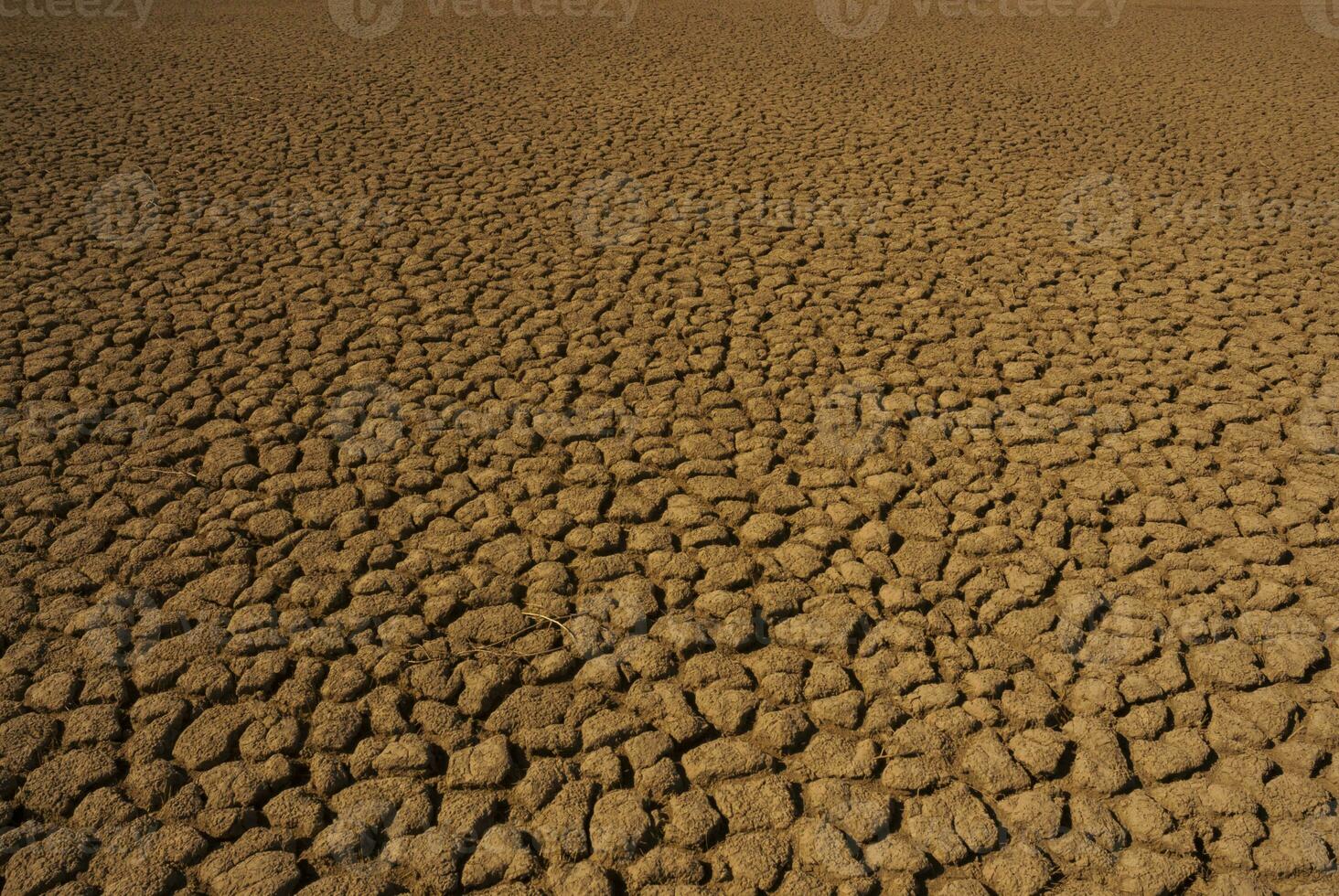 sec sol dans pampa environnement , patagonie, Argentine. photo