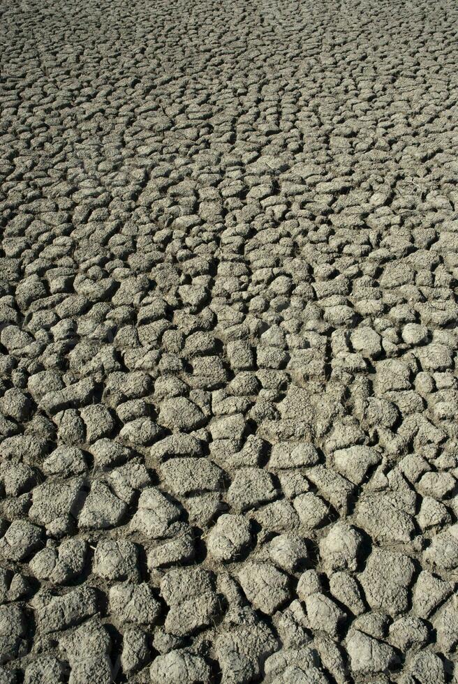 cassé sol dans pampa environnement , patagonie, Argentine. photo