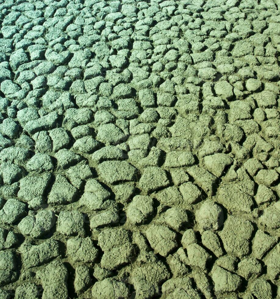 cassé sol dans pampa environnement , patagonie, Argentine. photo