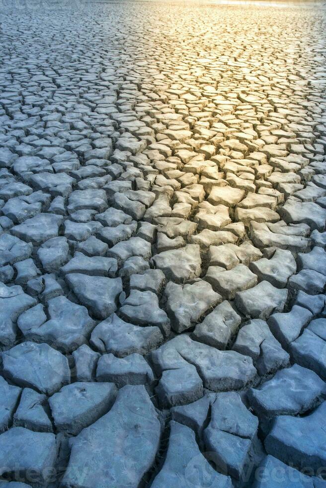 cassé sol dans pampa environnement , patagonie, Argentine. photo