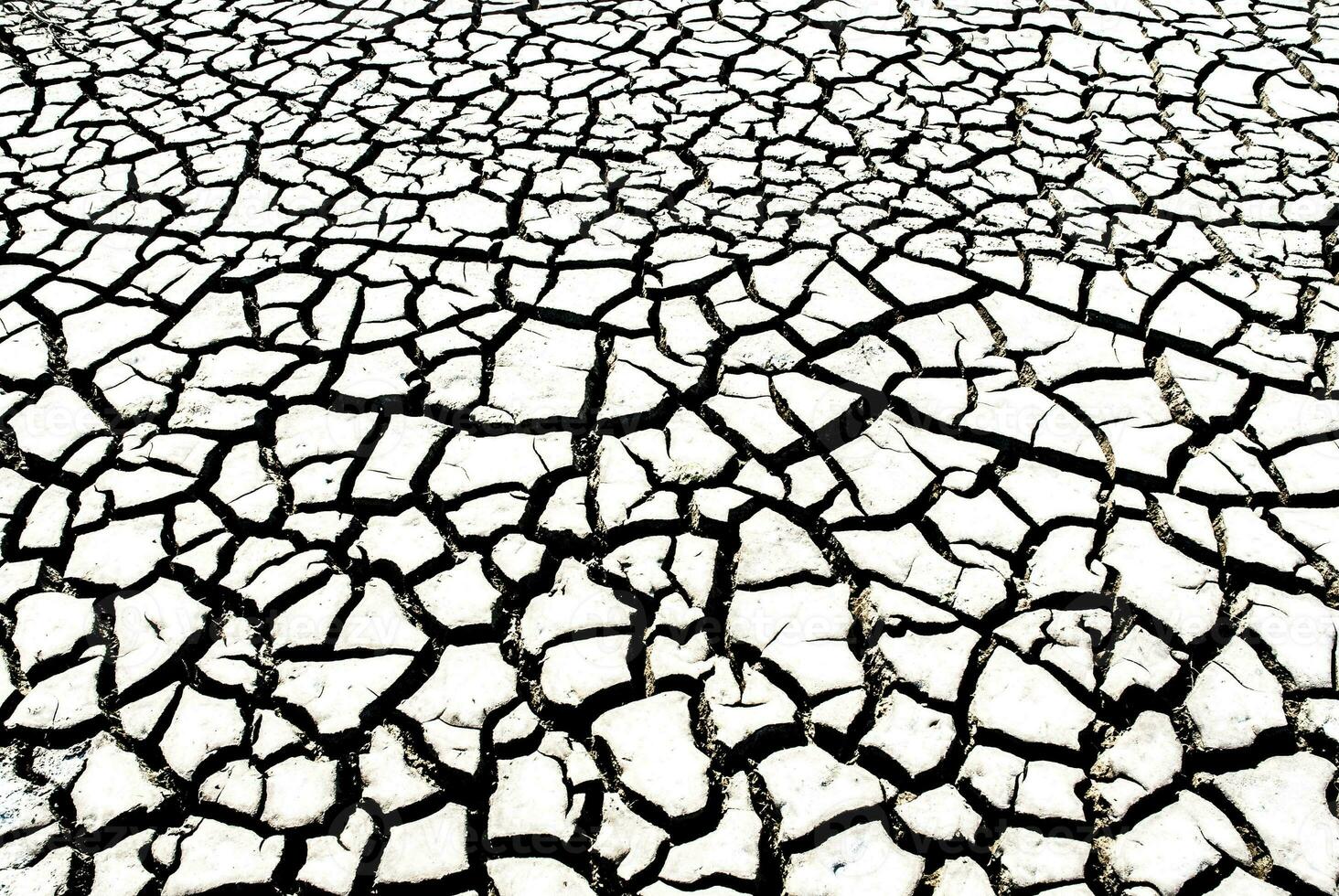 sec sol dans pampa environnement , patagonie, Argentine. photo