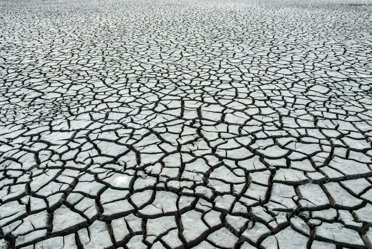 cassé sol dans pampa environnement , patagonie, Argentine. photo