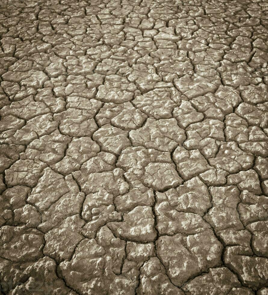 cassé sol dans pampa environnement , patagonie, Argentine. photo