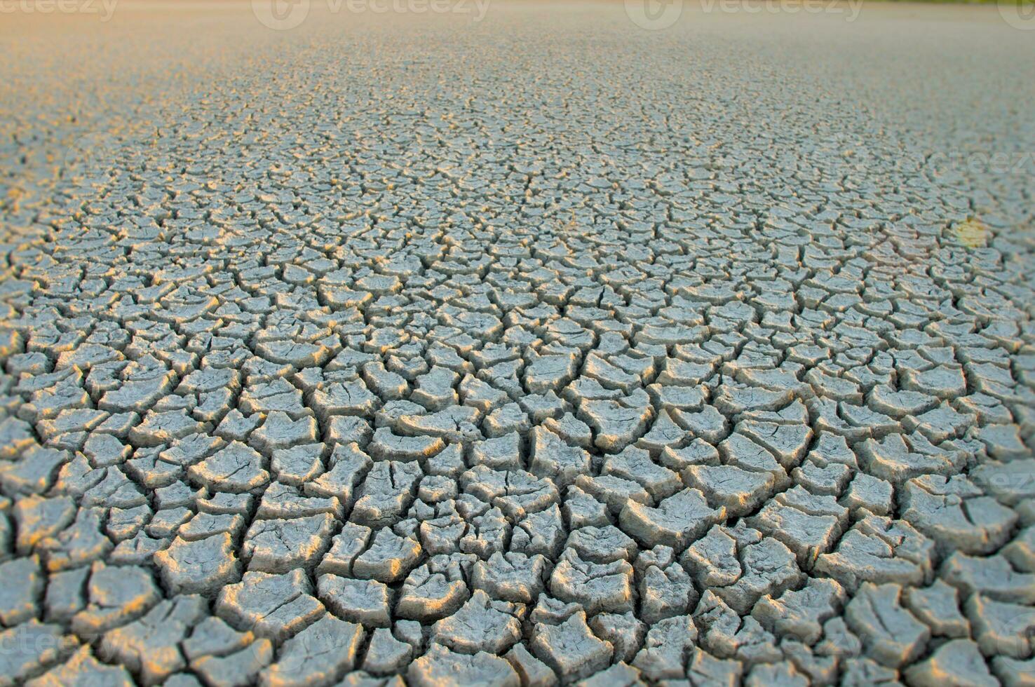 cassé sol dans pampa environnement , patagonie, Argentine. photo