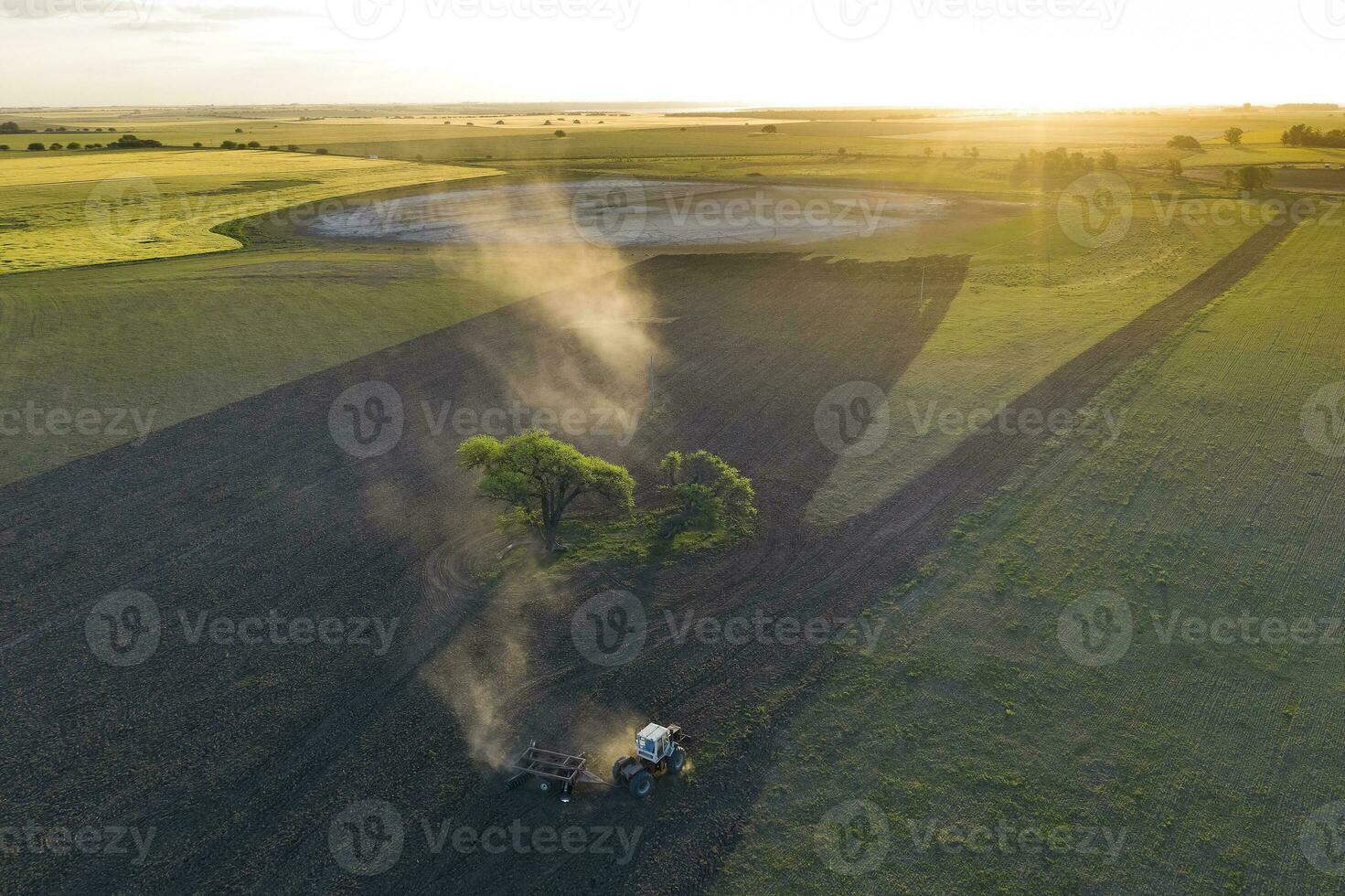 direct semis pour pâturage, argentin Viande production. photo