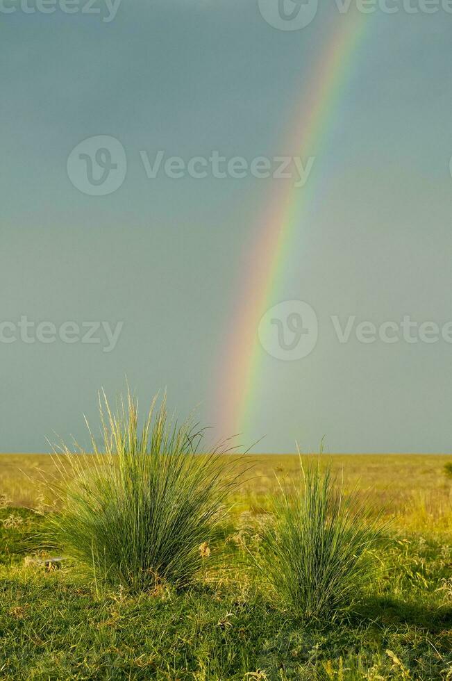 rural paysage et arc-en-ciel, buenos aires Province , Argentine photo