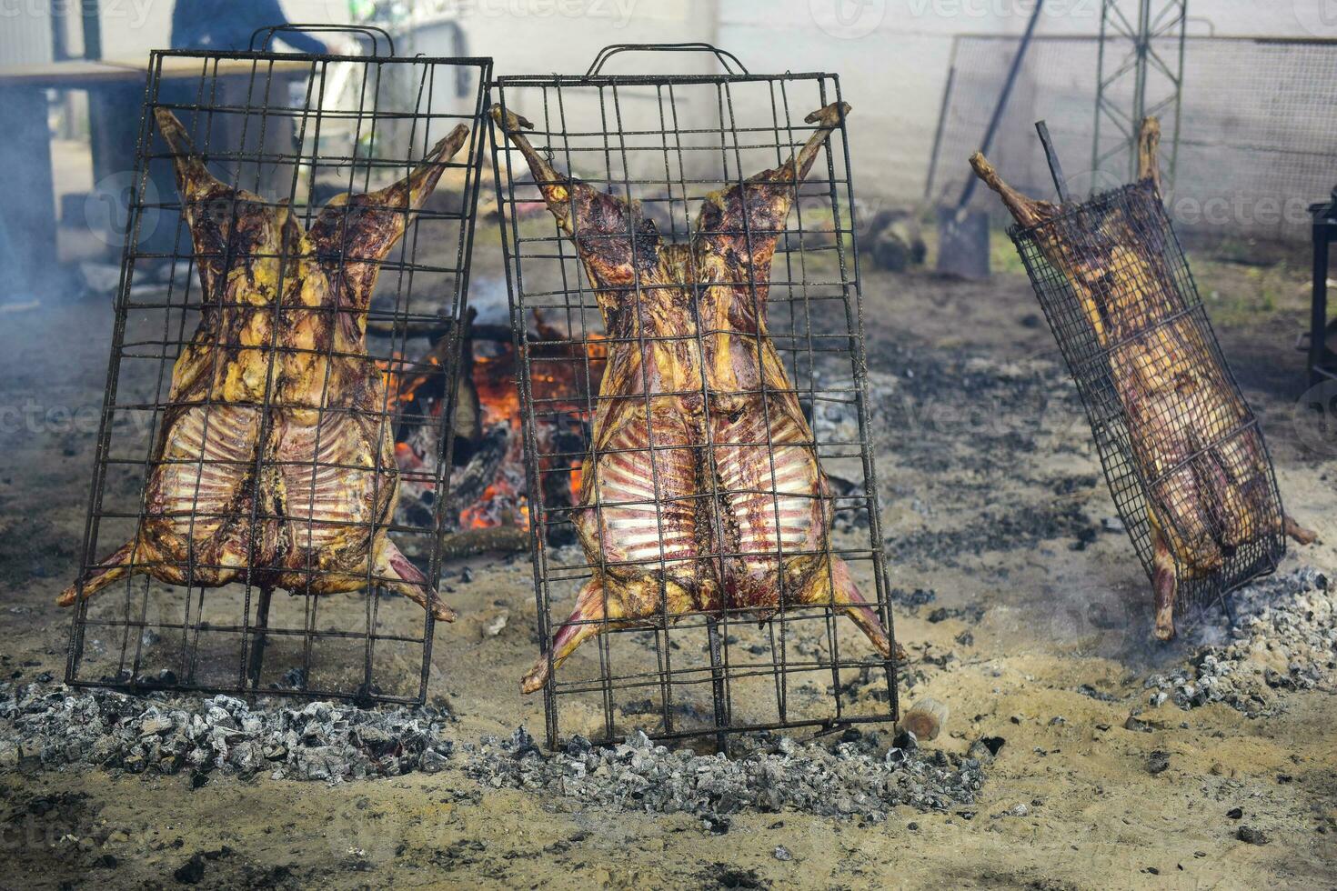 agneau sur le cracher, patagonie, Argentine. photo