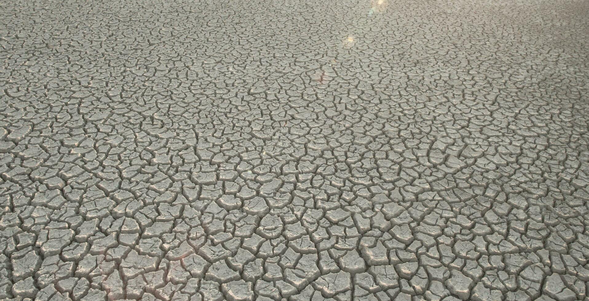 cassé sol dans pampa environnement , patagonie, Argentine. photo