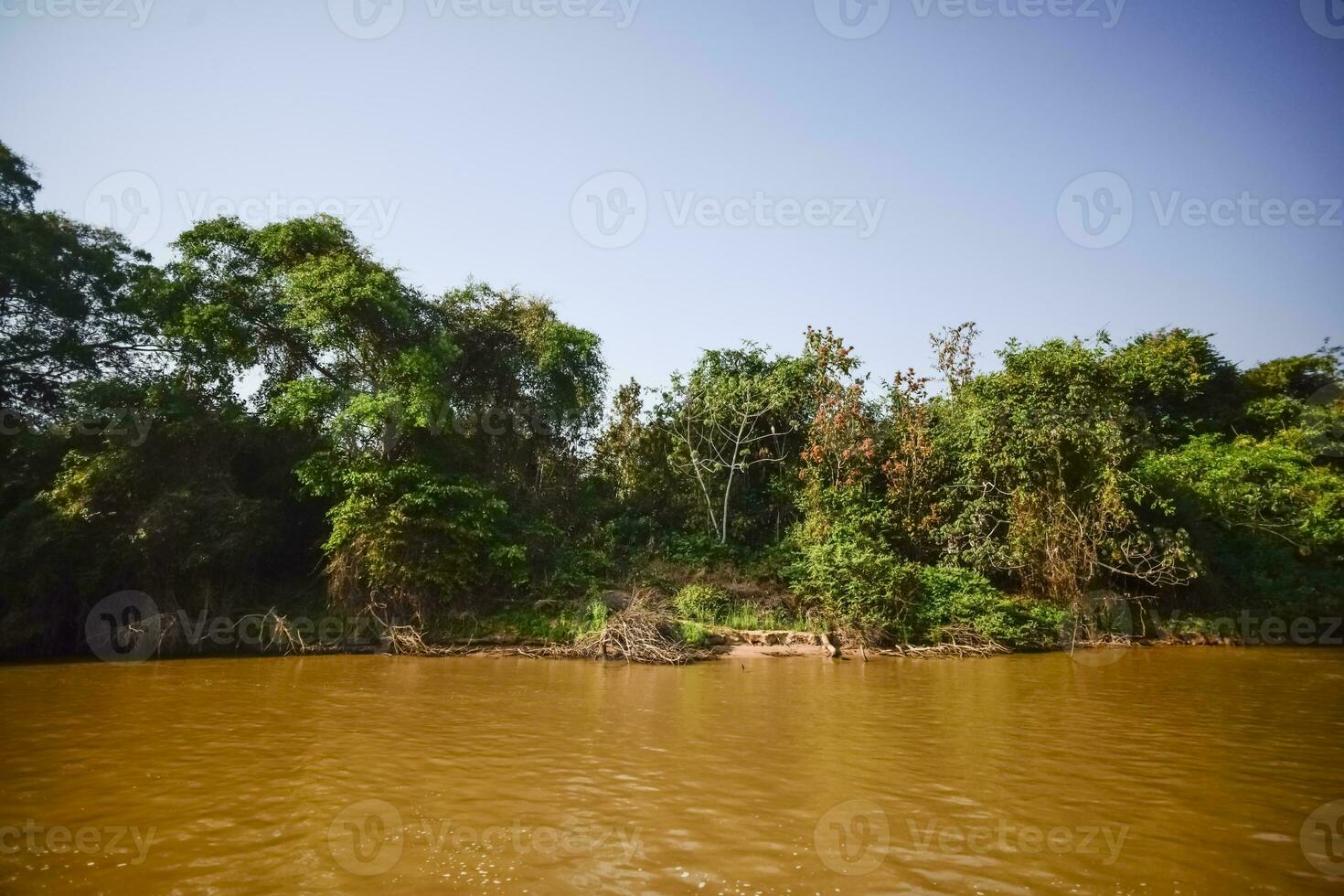 rivière paysage et jungle, pantanal, Brésil photo