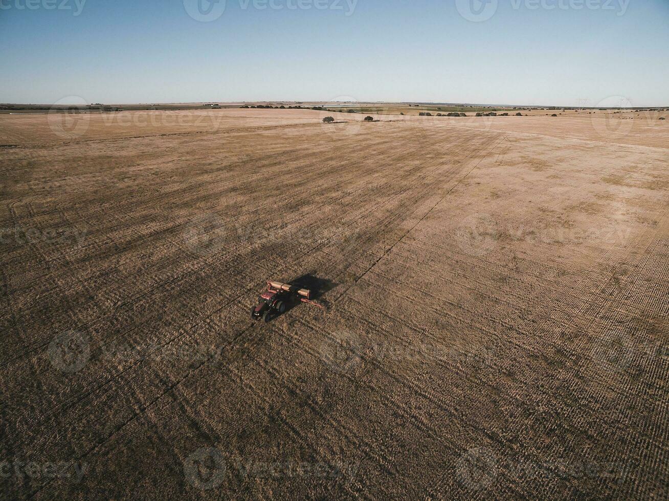 tracteur et semoir, direct semis dans le pampa, Argentine photo