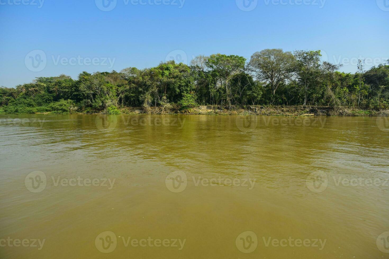 pantanal forêt écosystème, mato grossièrement, Brésil photo