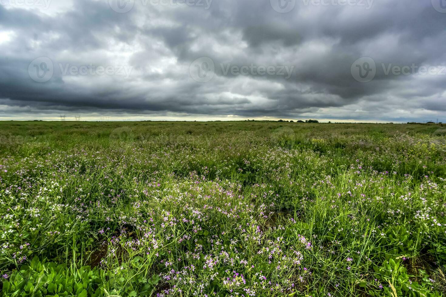 rural paysage orageux, buenos aires Province , Argentine photo