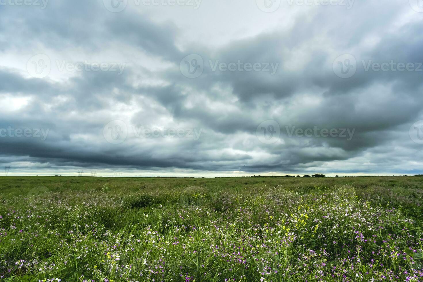 rural paysage orageux, buenos aires Province , Argentine photo