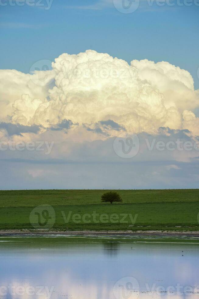 rural paysage, buenos aires Province , Argentine photo