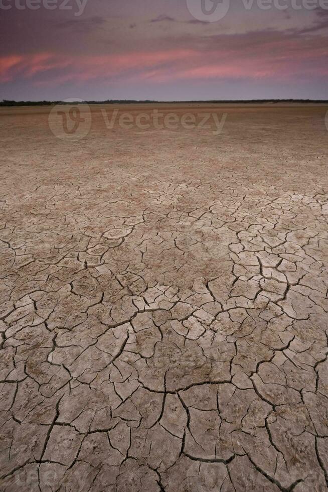 fissuré Terre, désertification processus, la la pampa province, patagonie, Argentine. photo