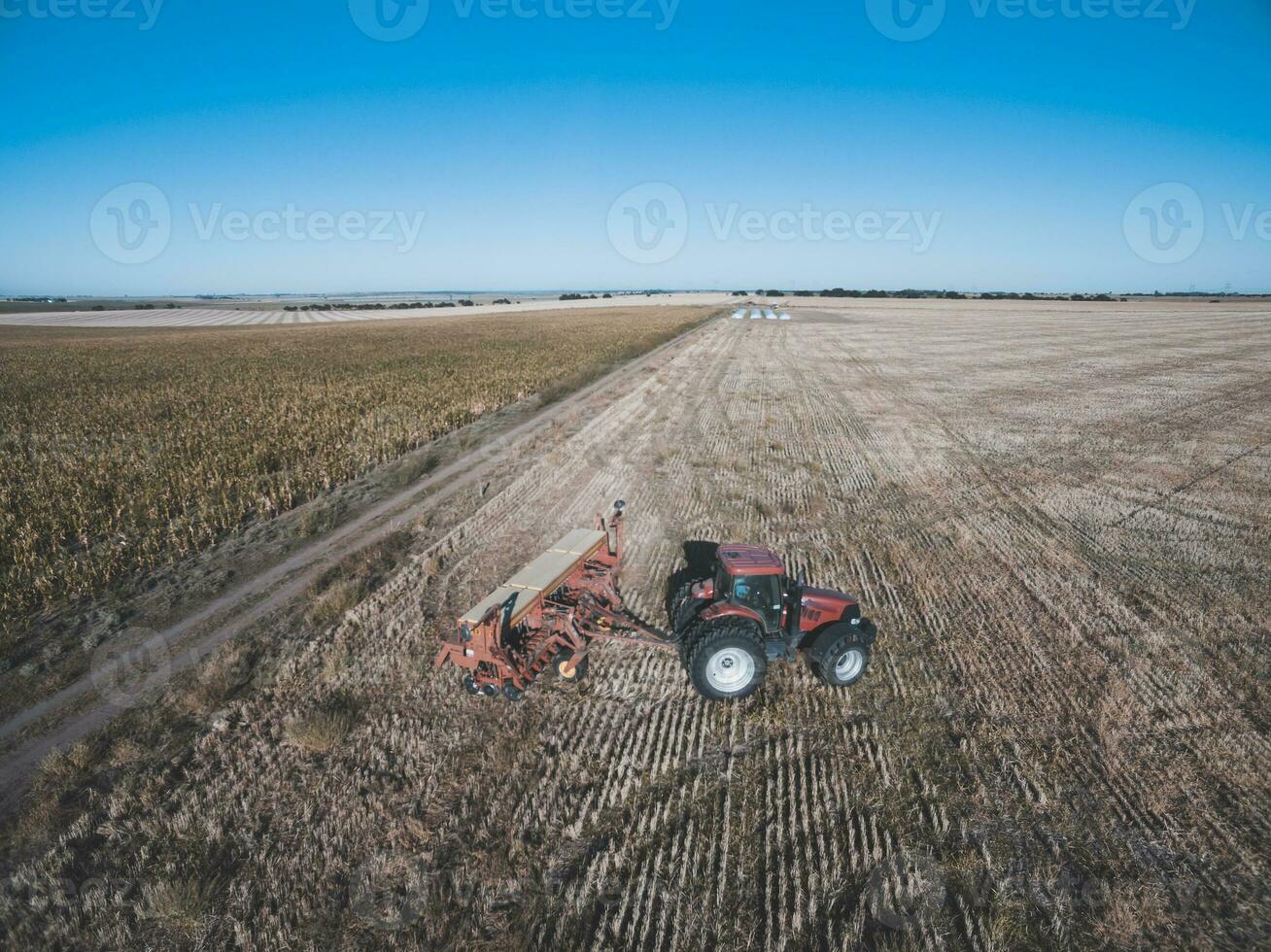 tracteur et semoir, direct semis dans le pampa, Argentine photo