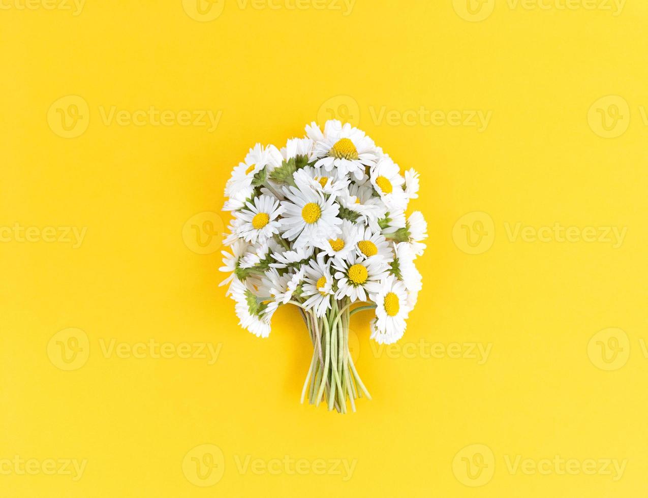 bouquet de fleurs de camomille sur fond jaune. photo