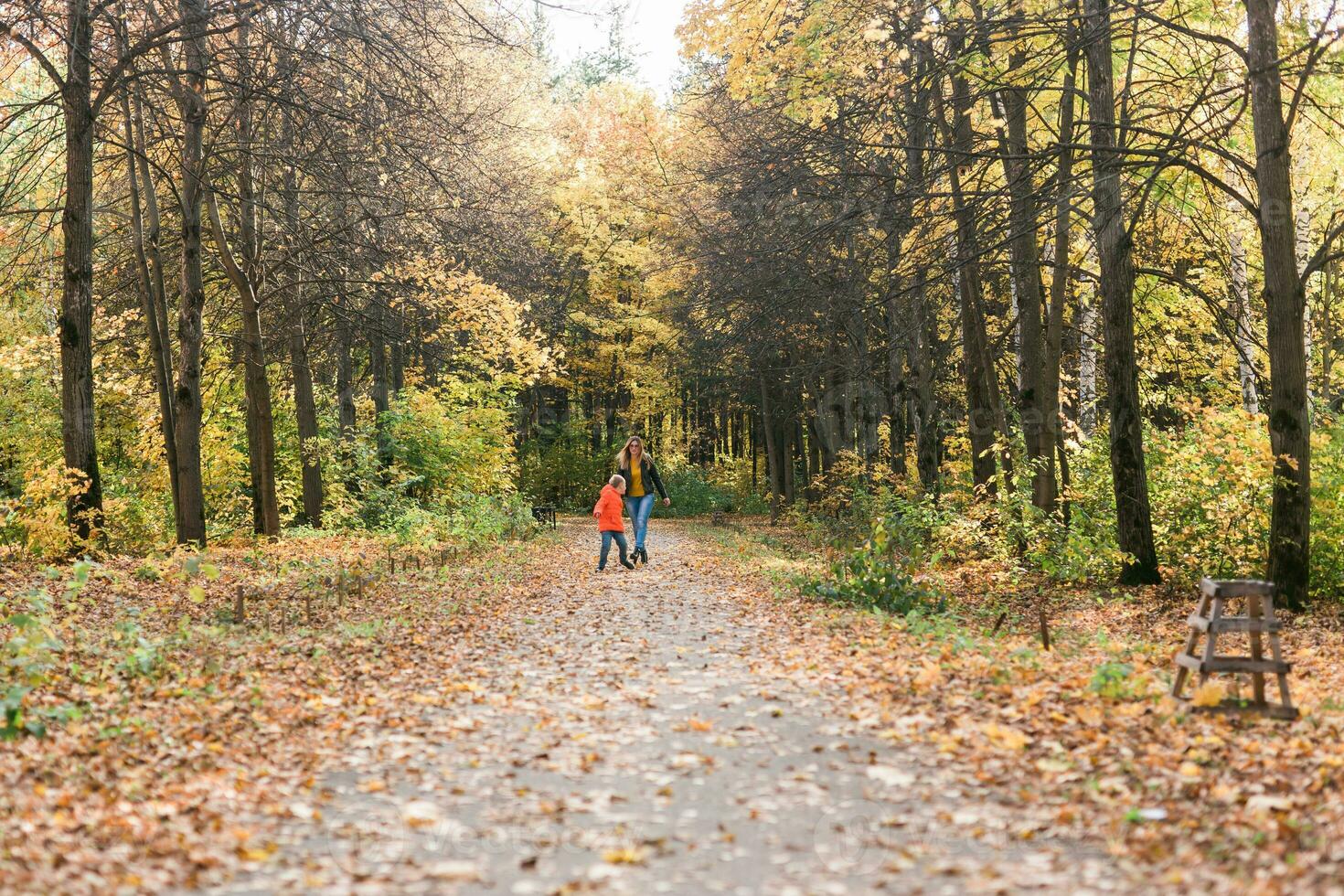 mère et fils en marchant dans le tomber parc et profiter le magnifique l'automne la nature. saison, Célibataire parent et les enfants concept. photo