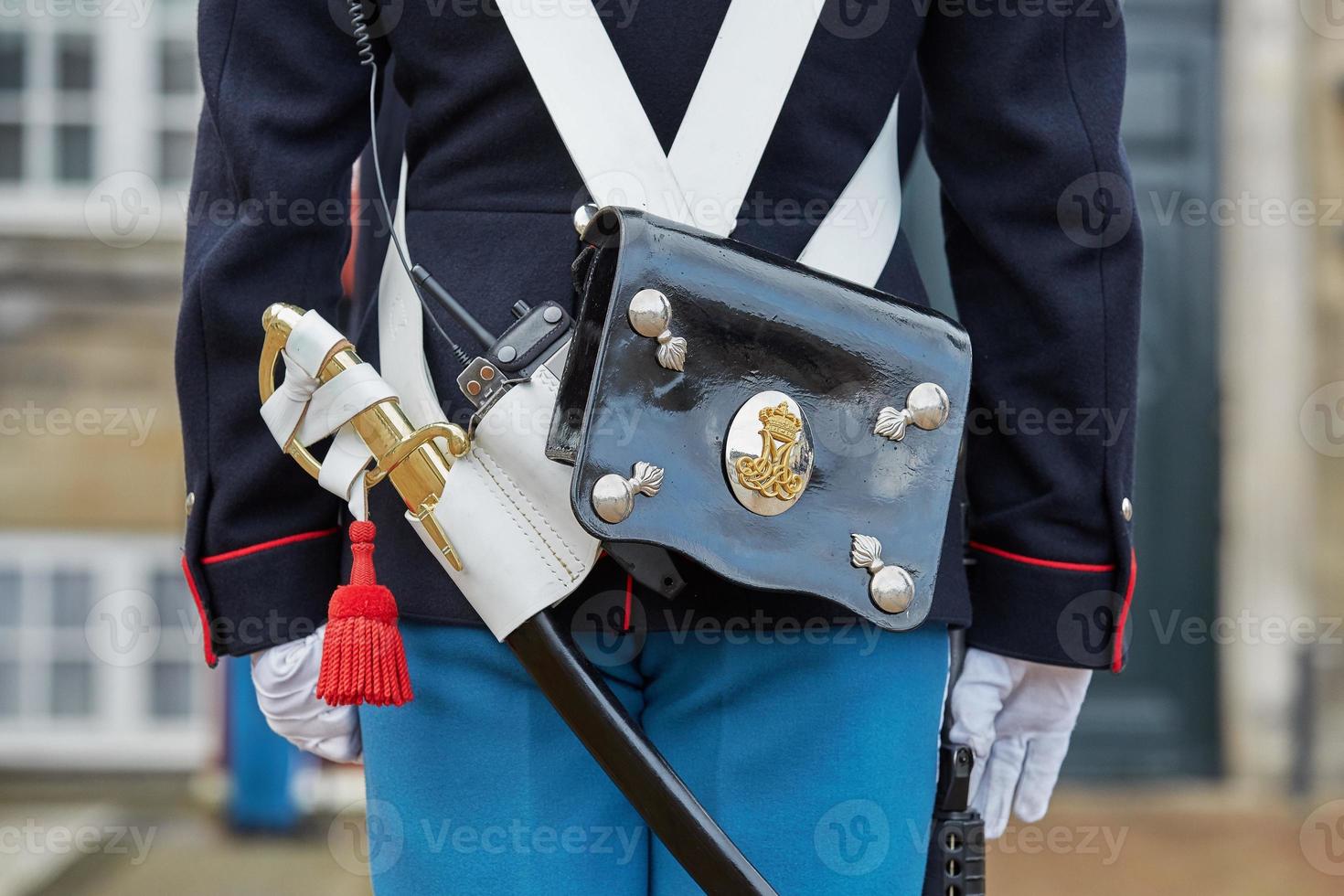 Gardes royales au château d'Amalienborg, Copenhague, Danemark photo