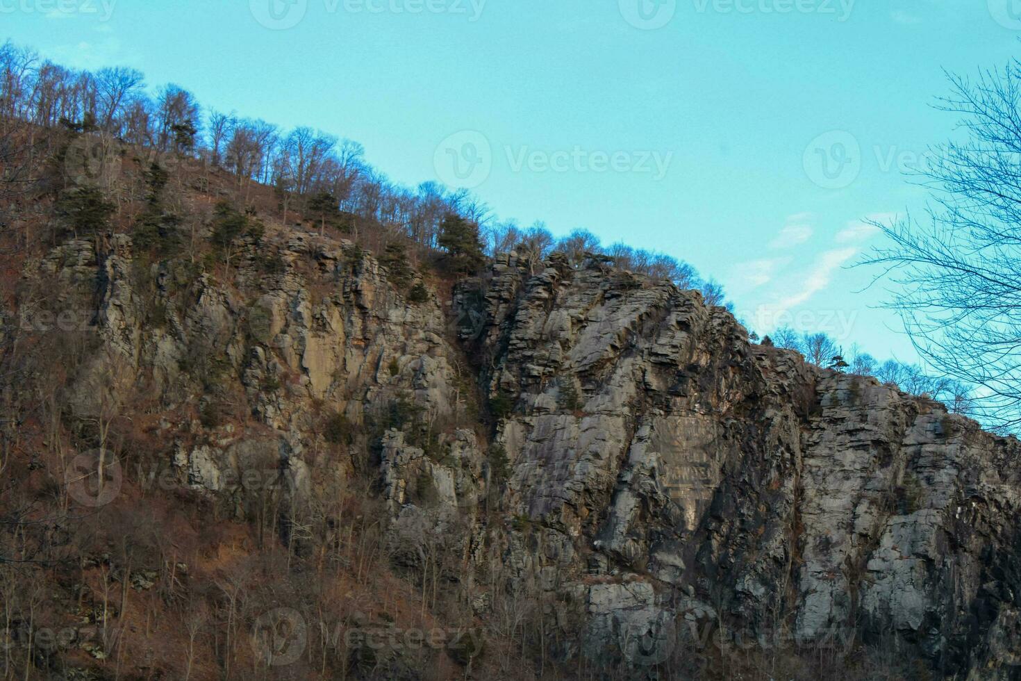 historique harpistes traversier wv photo